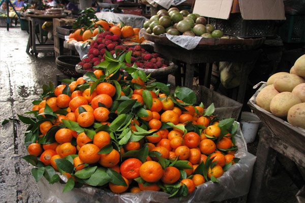 Becoming Fruitful Through Affliction Becoming Fruitful Through Affliction