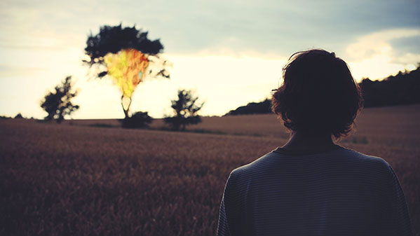 The Burning Bush Encounter: Sermon on Exodus 3.